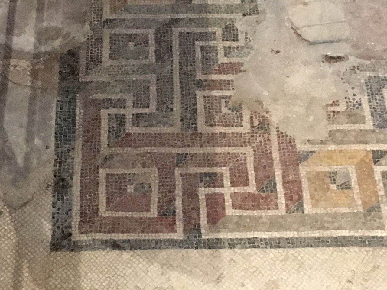 Phoenicians and Romans